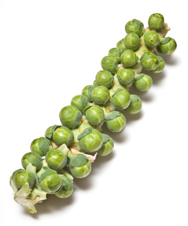 Brussels-Sprout-Stalk.jpg